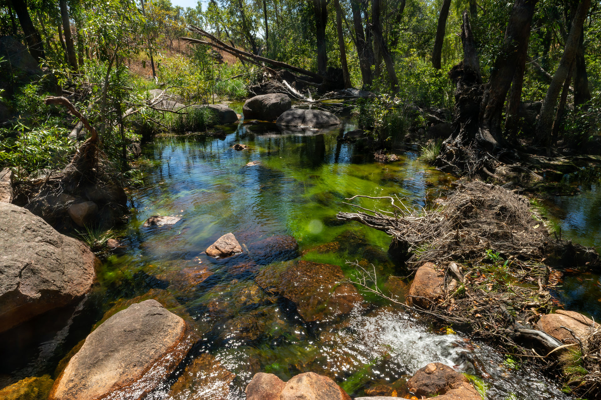 Kakadu National Park - Yurmikmik Walk